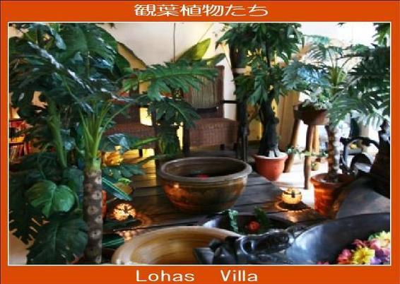 Lohas Villa Naha Exterior foto